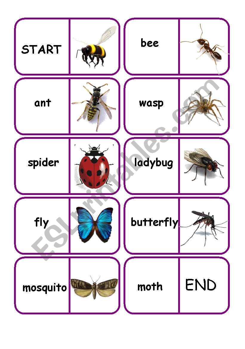 bugs dominoes worksheet