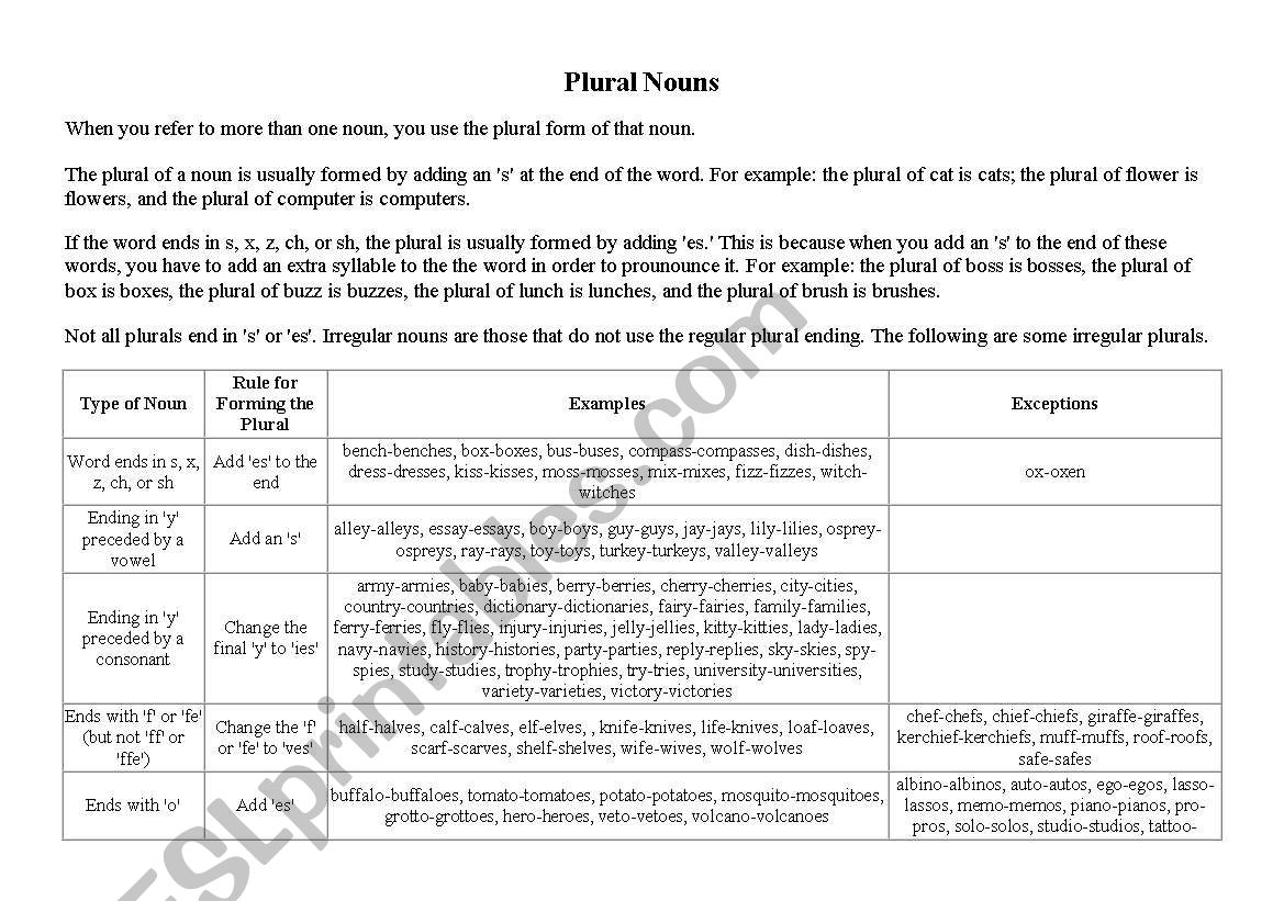 THE PLURAL OF NOUNS worksheet