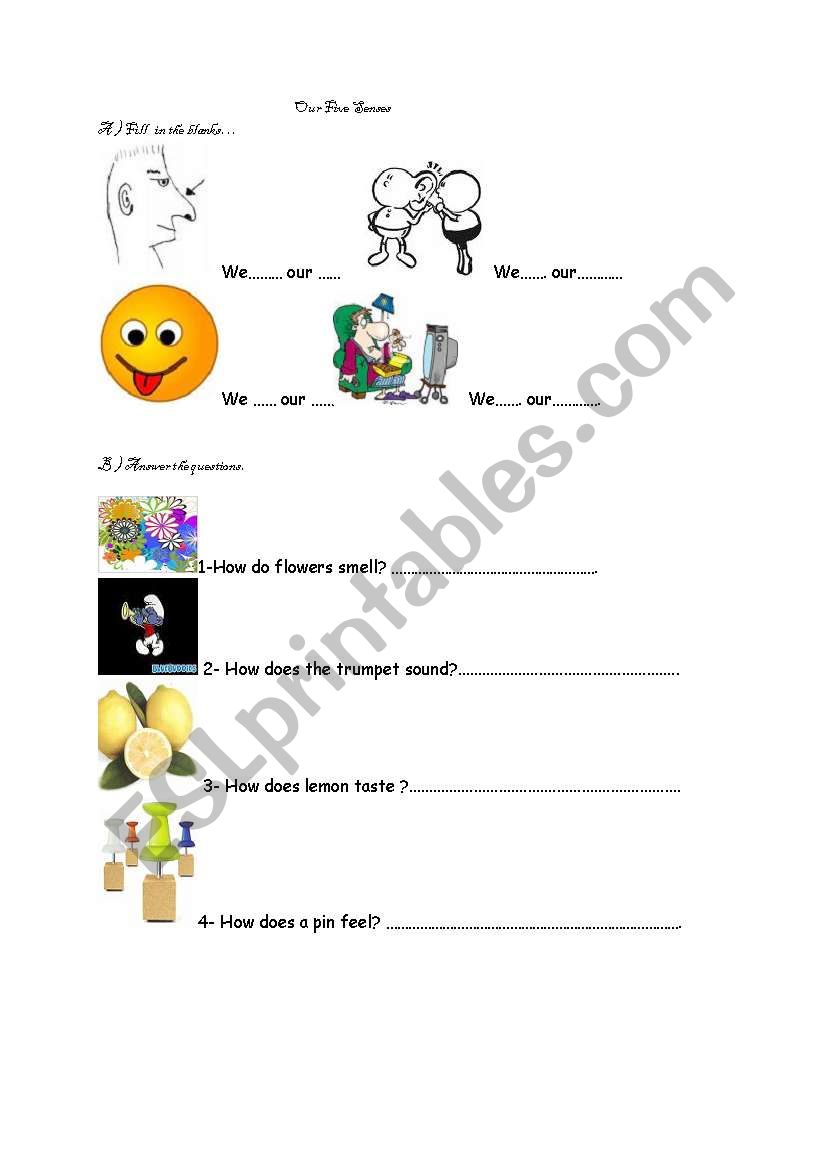 our five senses worksheet