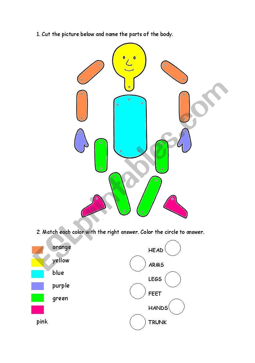 PARTS OF THE BODY worksheet