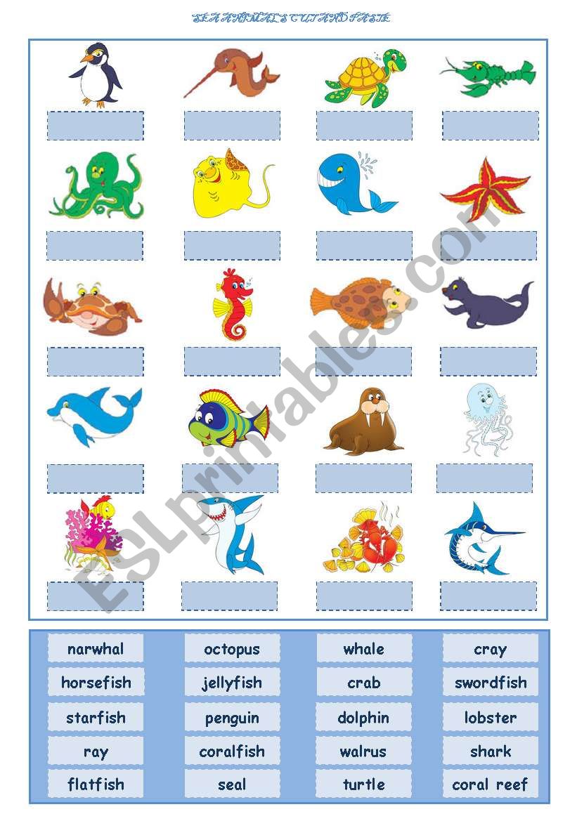 Sea Animals Cut and Paste worksheet