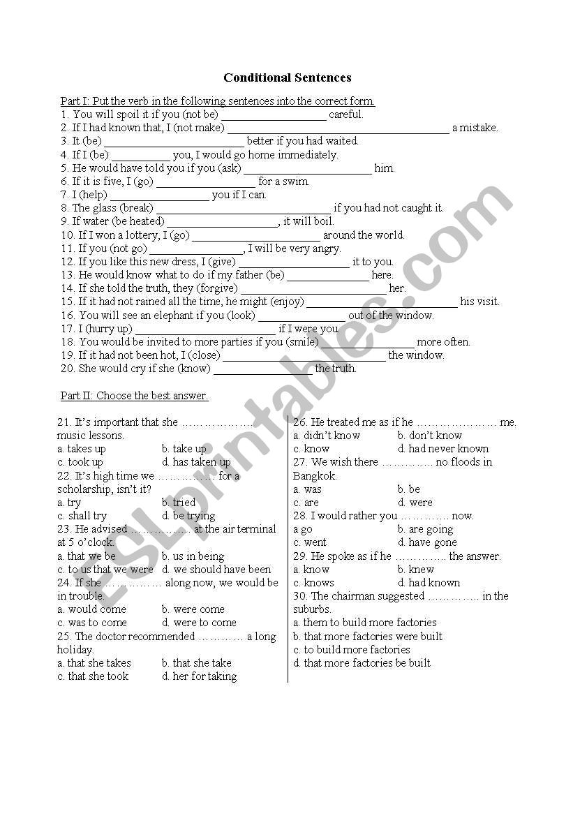 Conditional Sentences worksheet