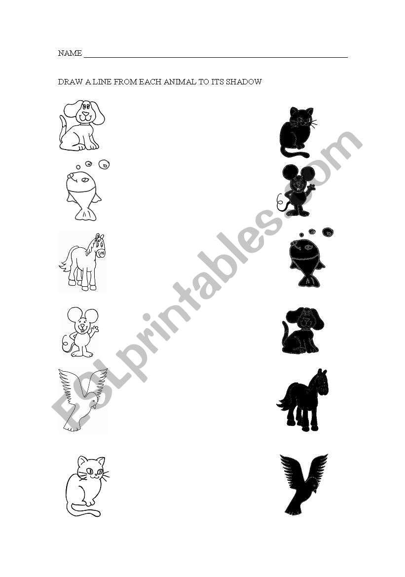 ANIMALS AND SHADOWS worksheet