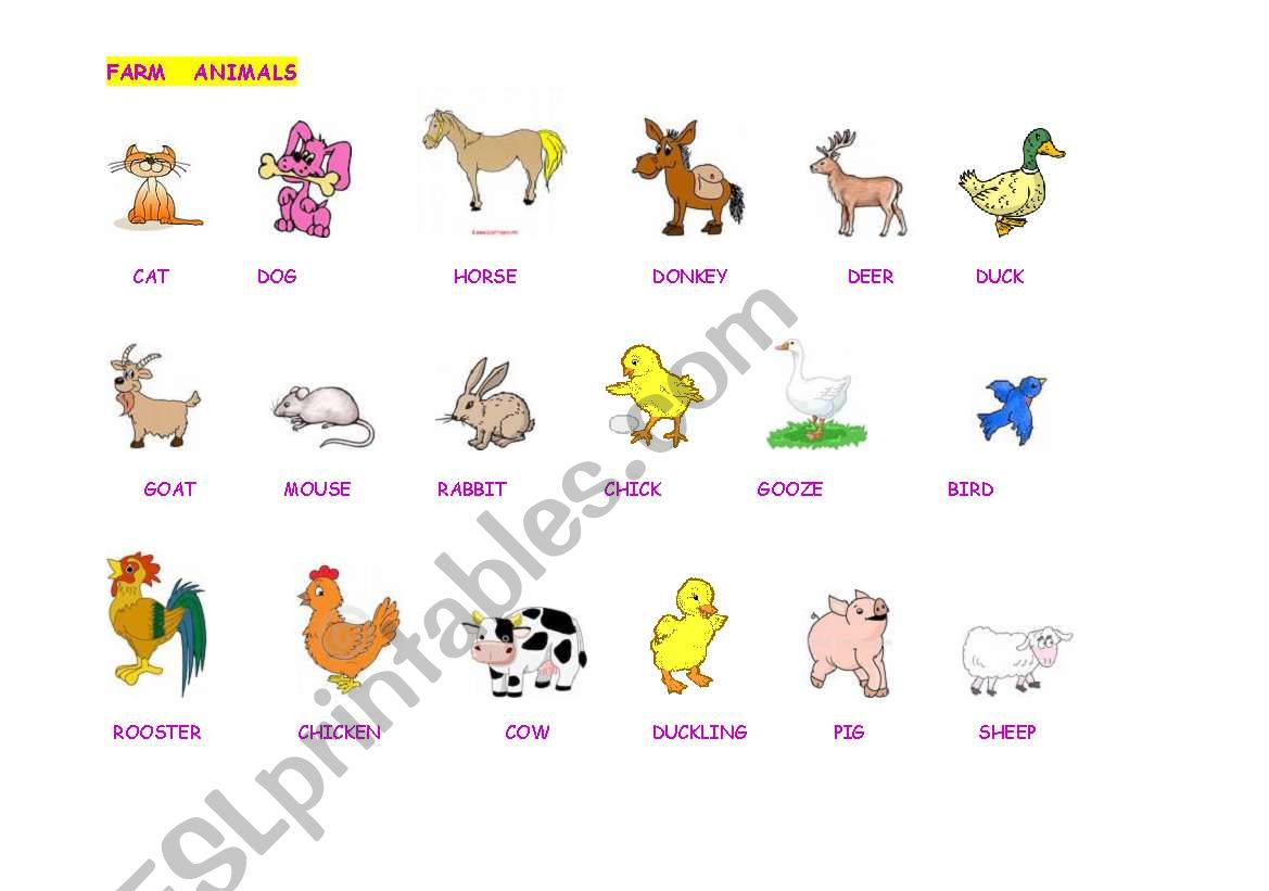 farm animals worksheet