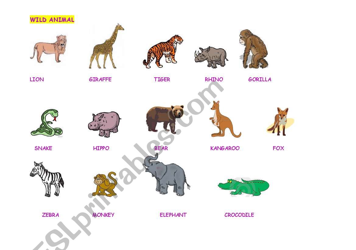 wild animals worksheet