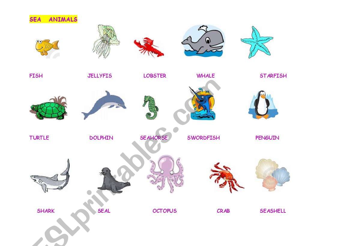 sea animals worksheet