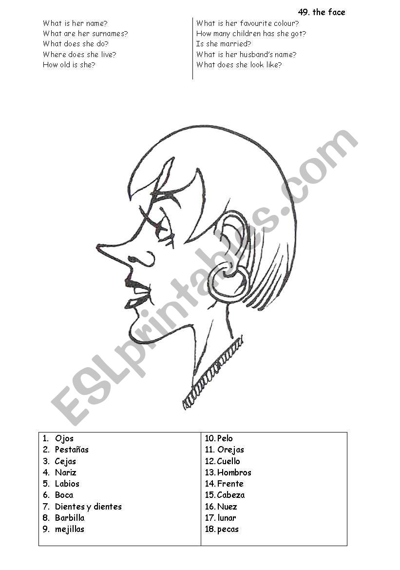 parts of the face worksheet