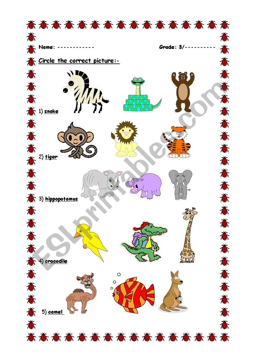 Circle the correct picture worksheet