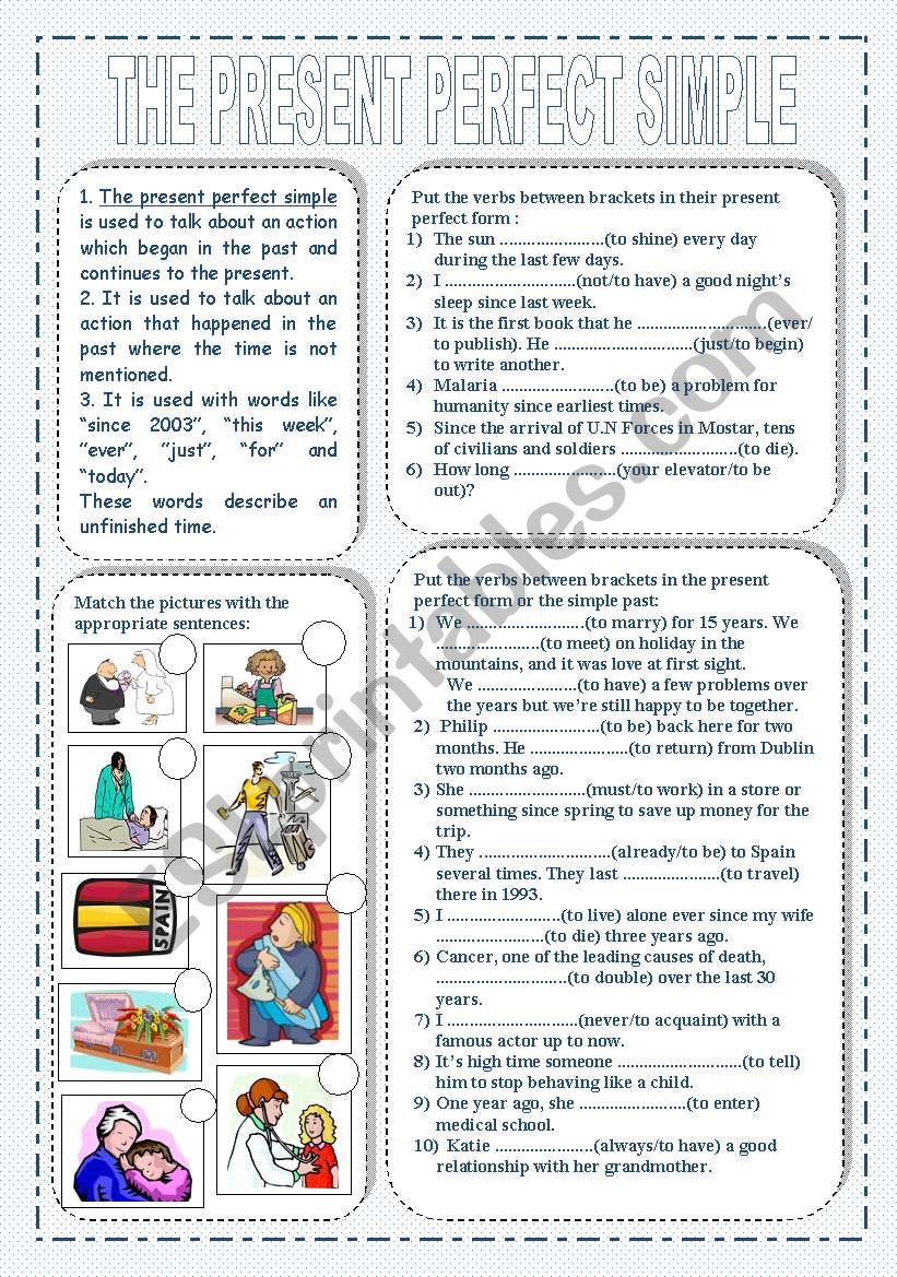 the present perfect worksheet