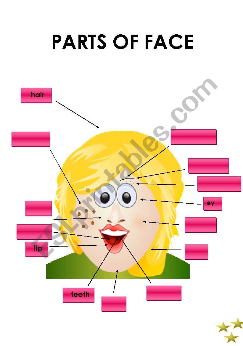 PARTS OF FACE worksheet