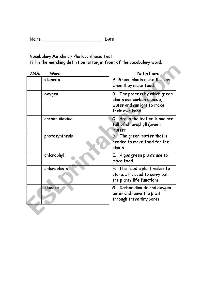 Photosynthesis Quiz worksheet