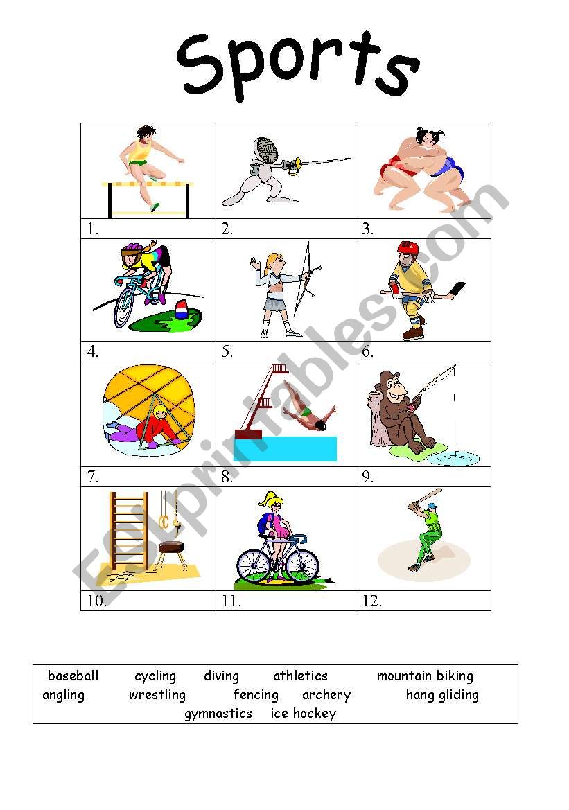 Sports worksheet