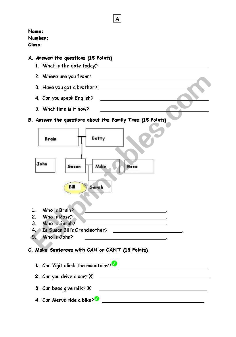 6th grade exam worksheet