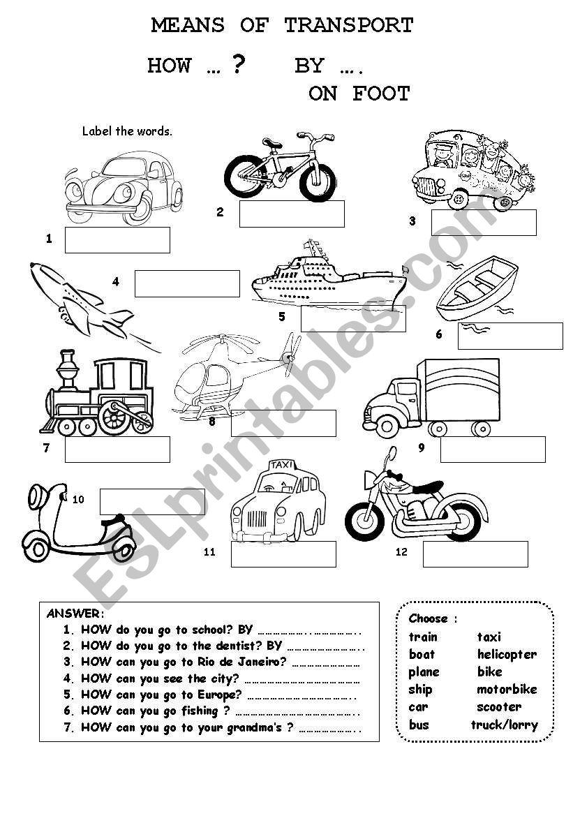 MEANS OF TRANSPORT worksheet