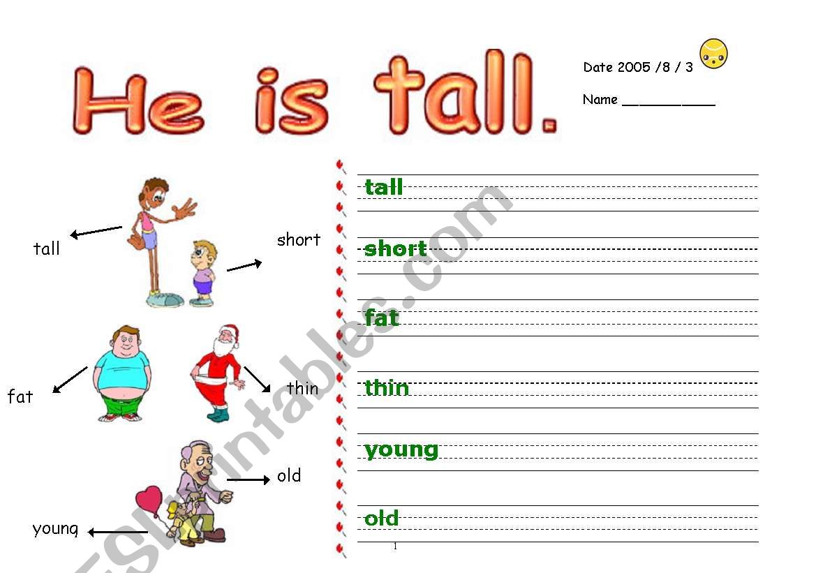 Body parts and adjectives worksheet