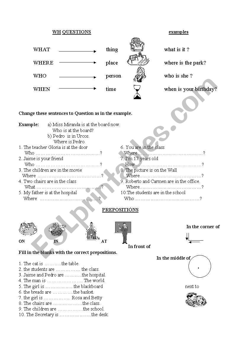 wh questions  worksheet