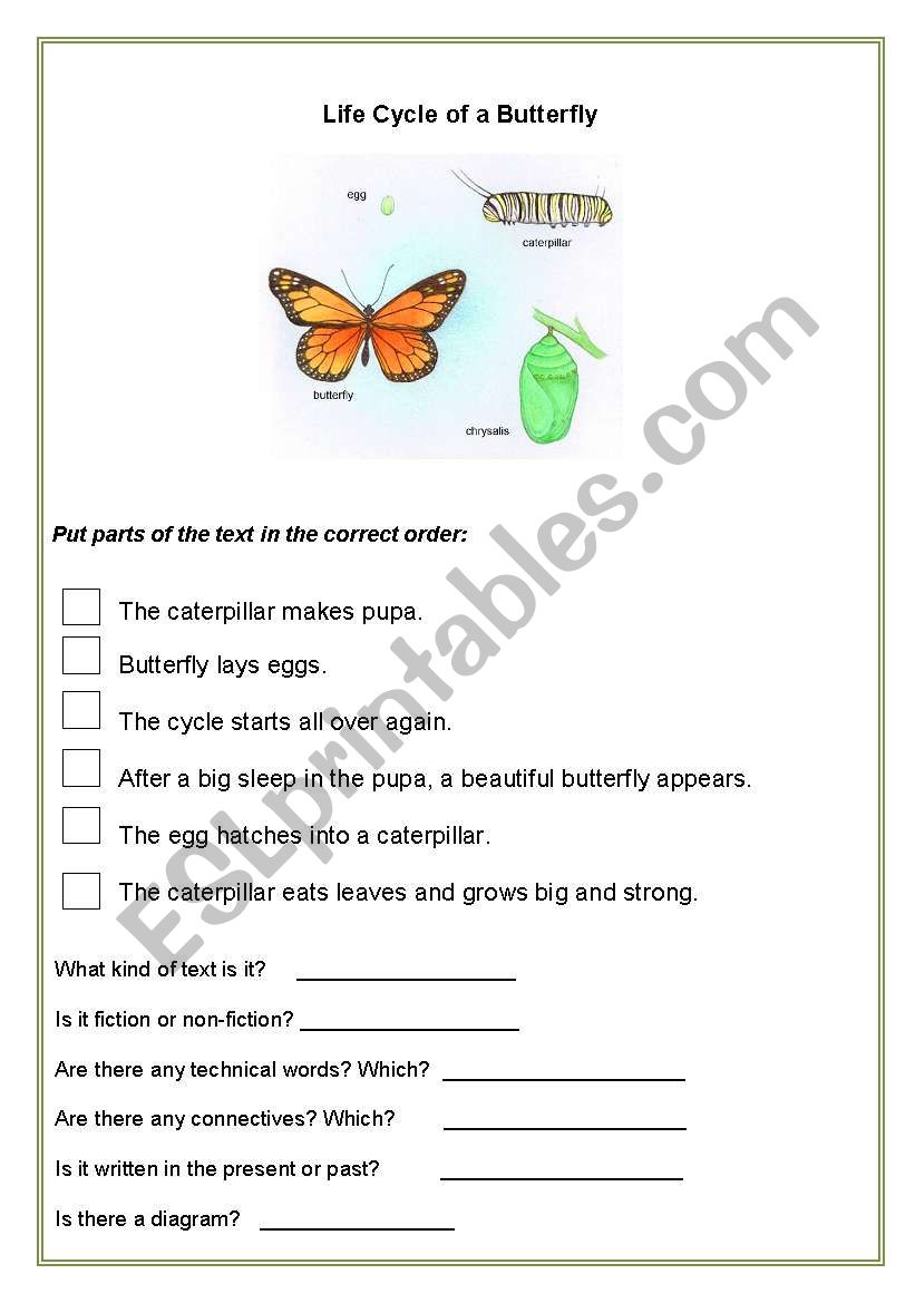 Life cycle of a butterfly worksheet