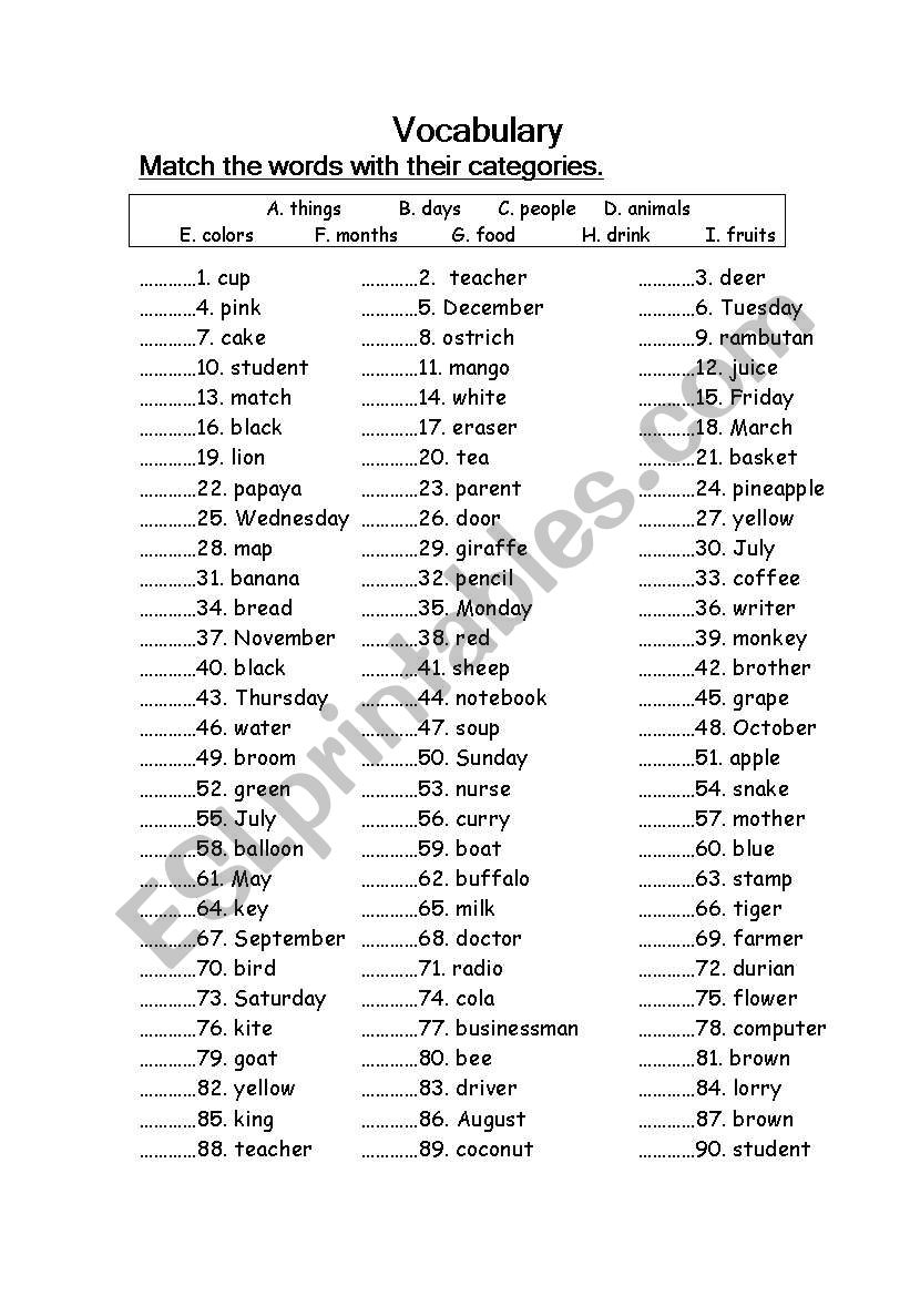 Vocabulary worksheet