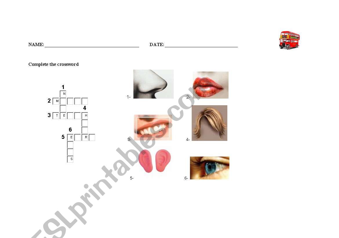 COMPLETE THE CROSSWORD worksheet