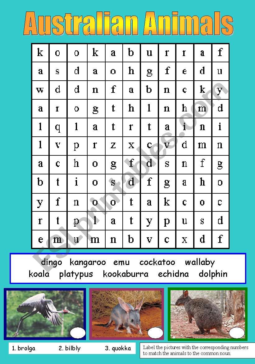 AUSTRALIAN ANIMALS (PART 1) worksheet