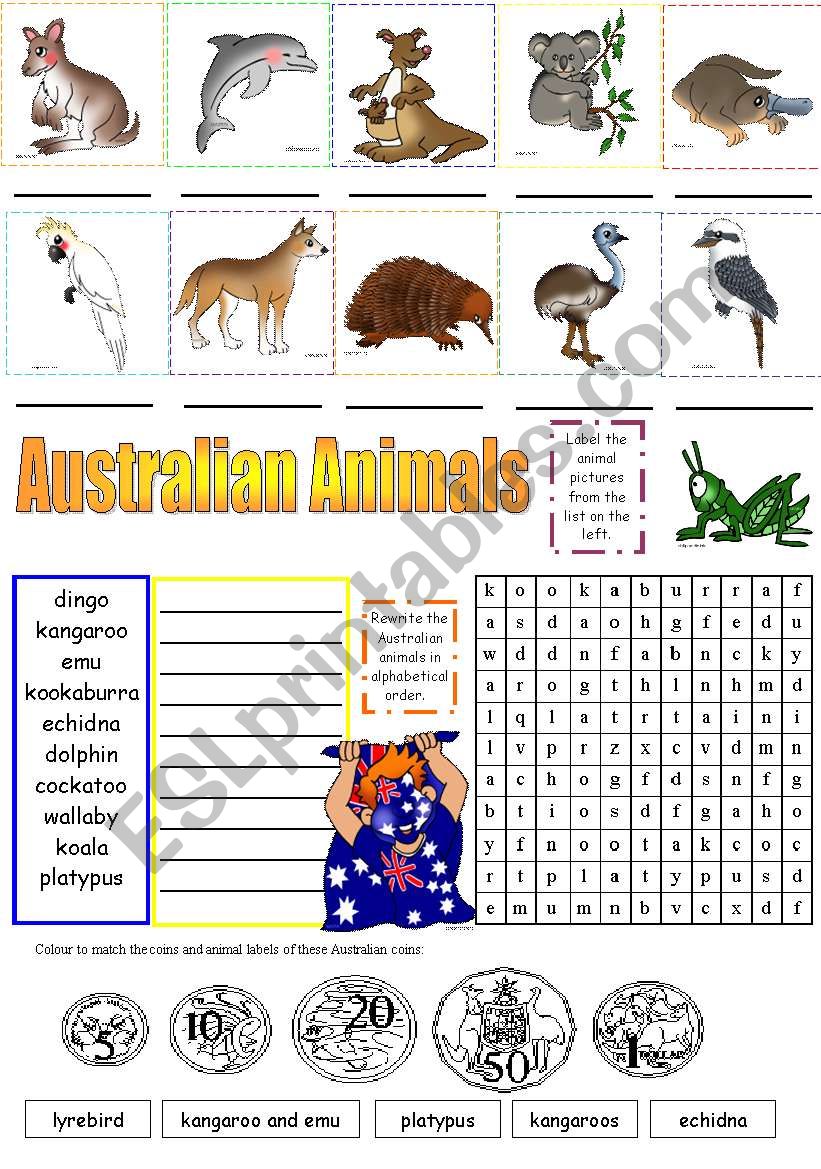 AUSTRALIAN ANIMALS (PART 2) worksheet