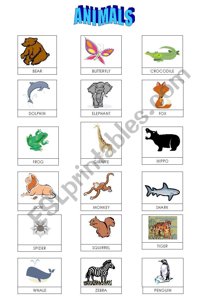 ANIMAL LISTS worksheet