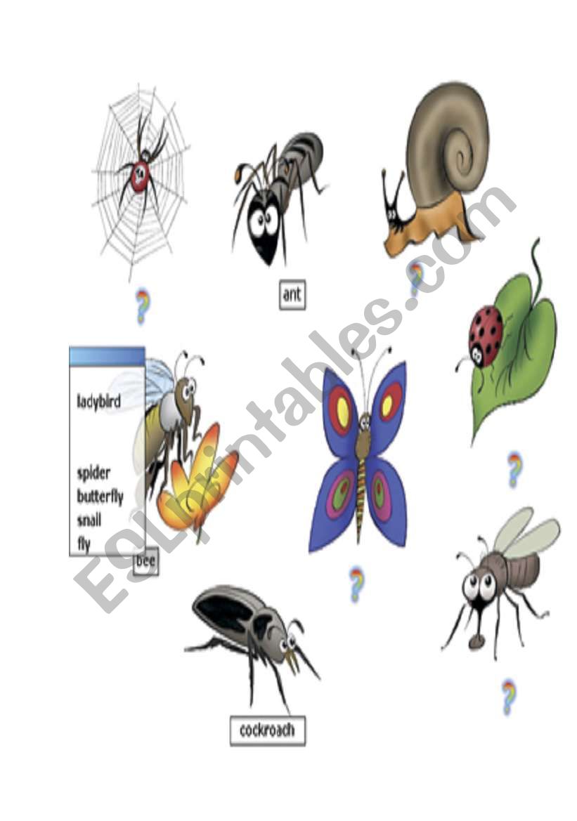 Animals worksheet