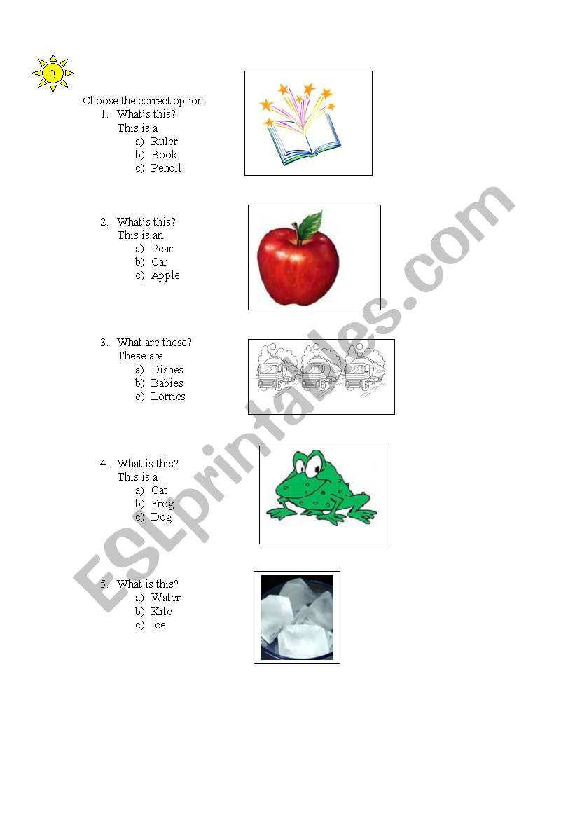 Quiz worksheet