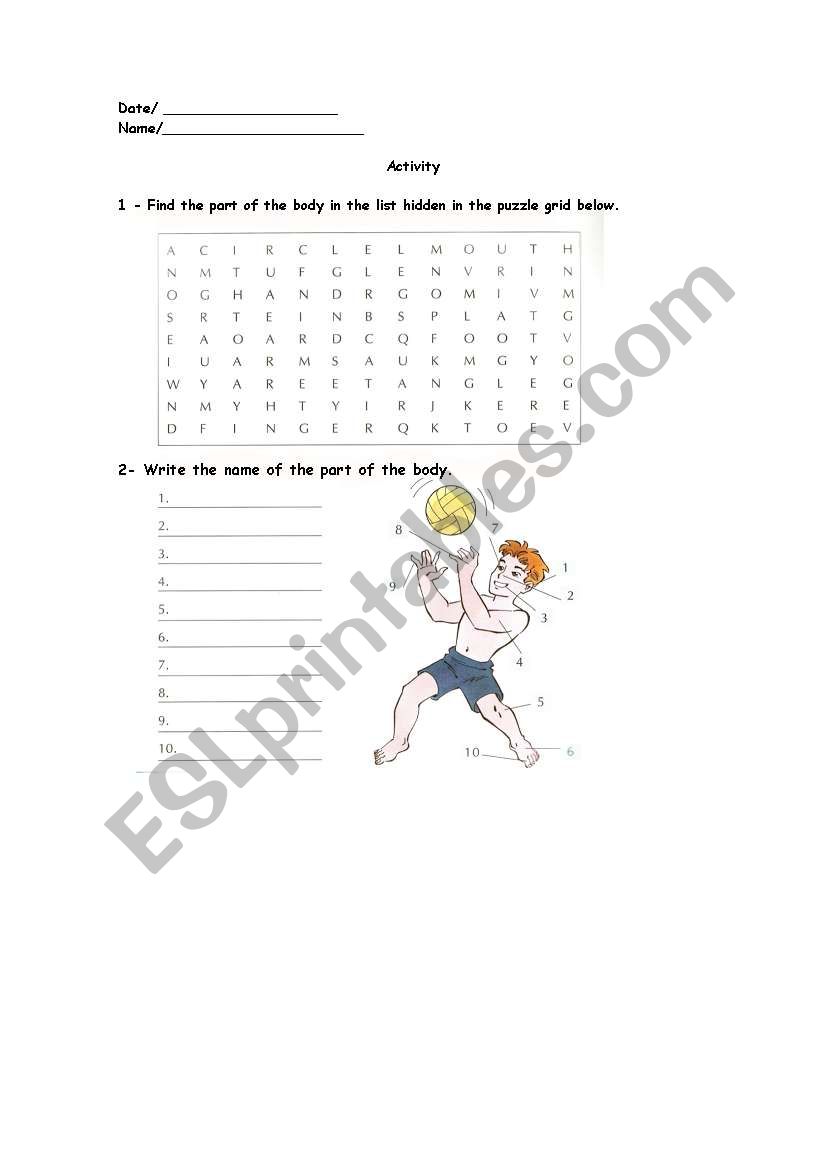 Body! worksheet