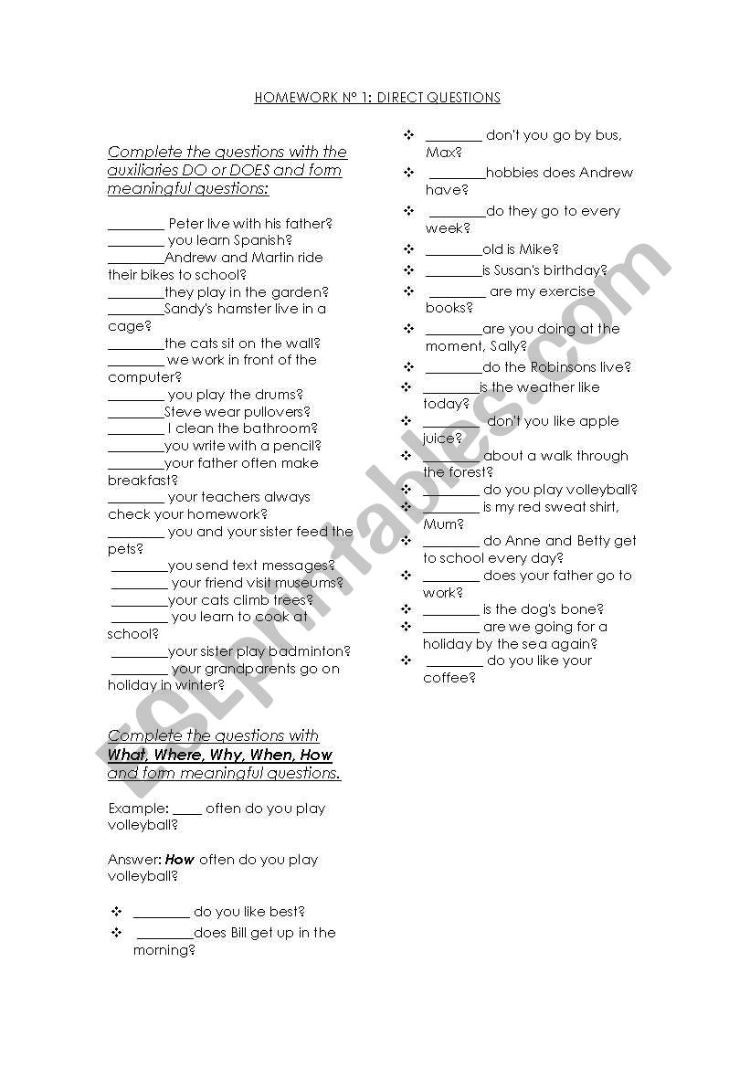 Direct questions worksheet
