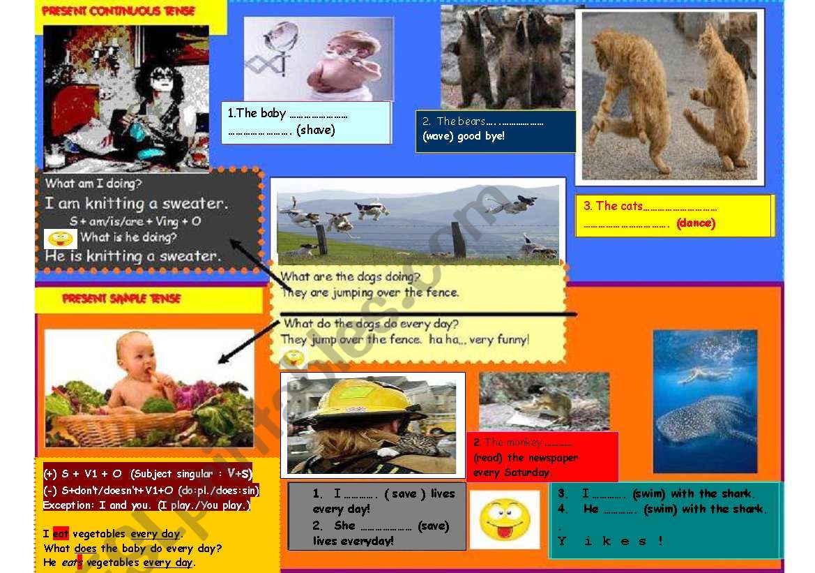 Cute Animals, Babies and People! Elementary Verb Tenses.