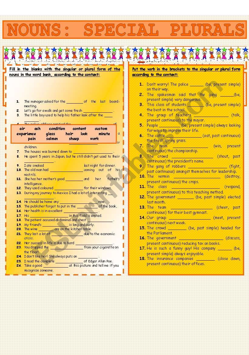 NOUNS: SPECIAL PLURALS worksheet