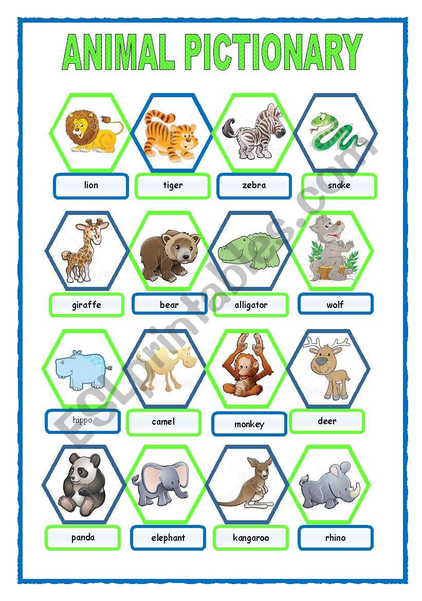 ANIMAL PICTIONARY worksheet