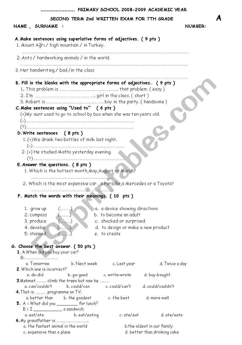 spot on 7thyear quiz worksheet