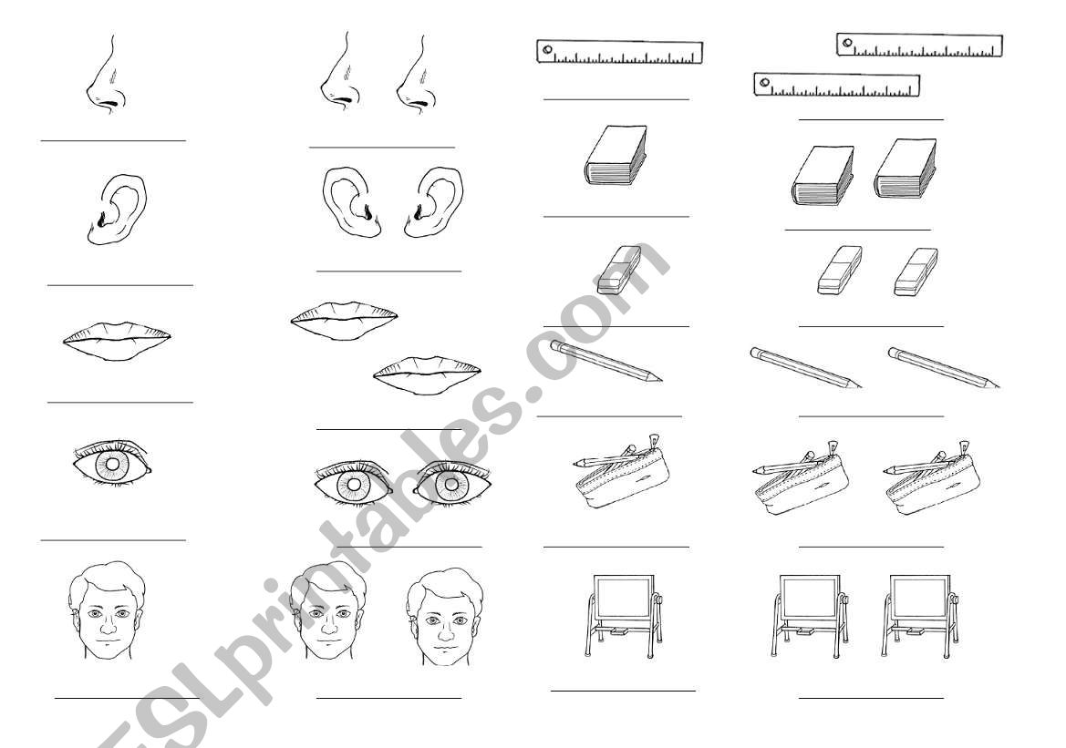 Plurals worksheet