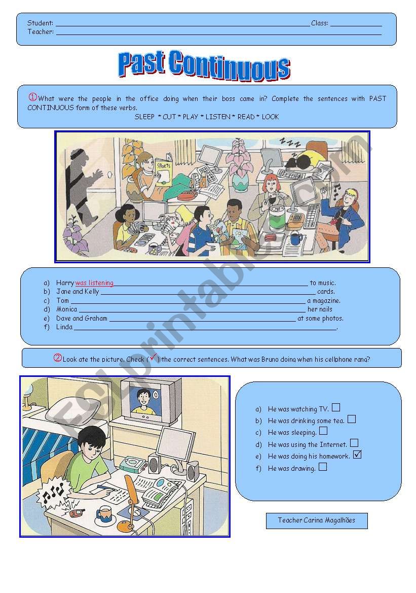 PAST CONTINUOUS worksheet