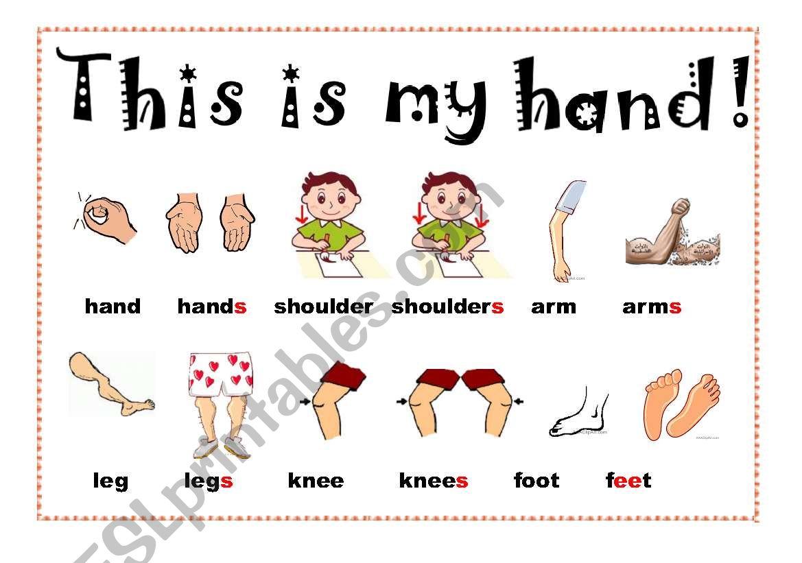 Body Parts worksheet