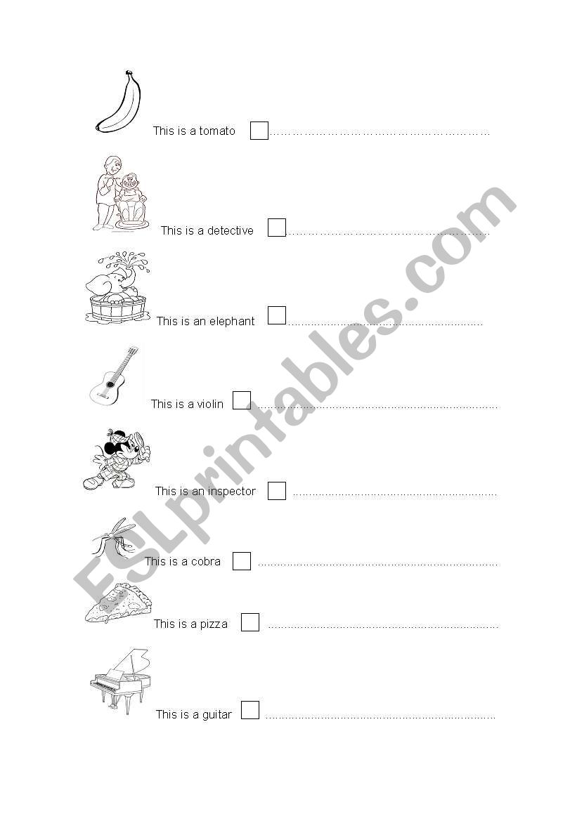 True or false worksheet