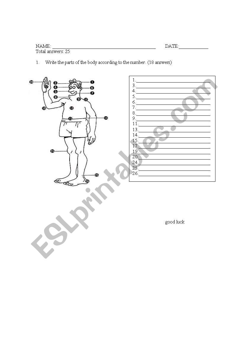 Parts of the body worksheet