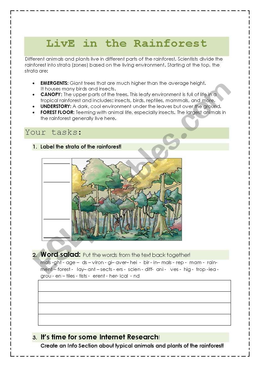 Live in the rainforest worksheet