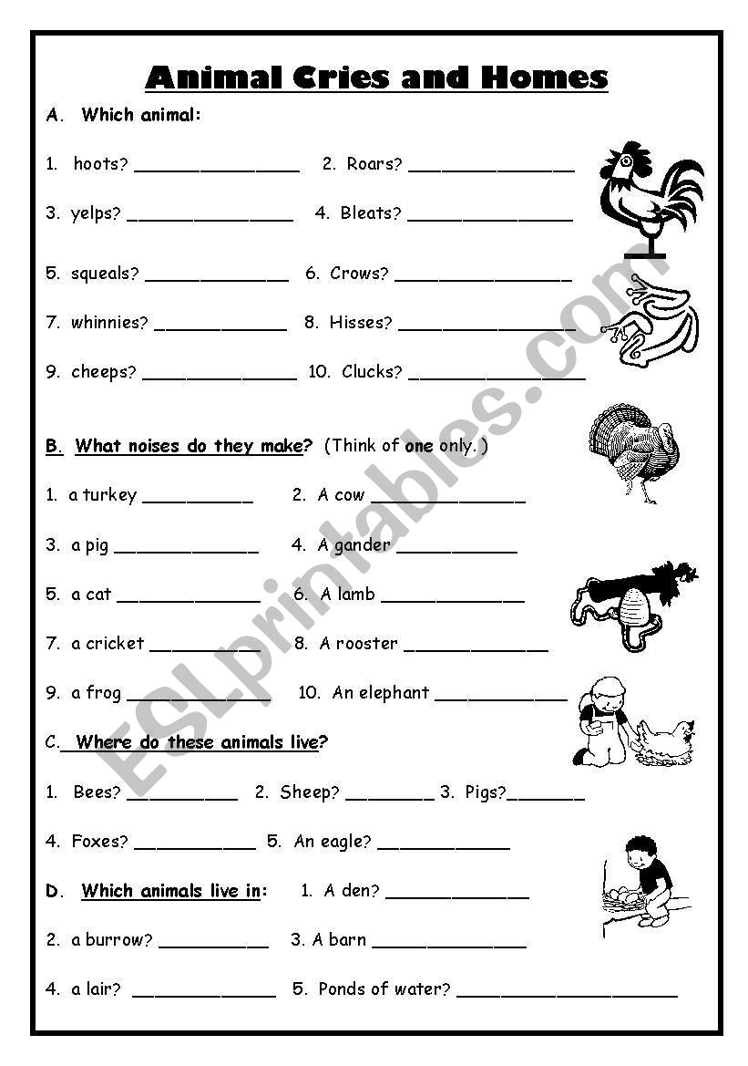 Animal cries and noises worksheet