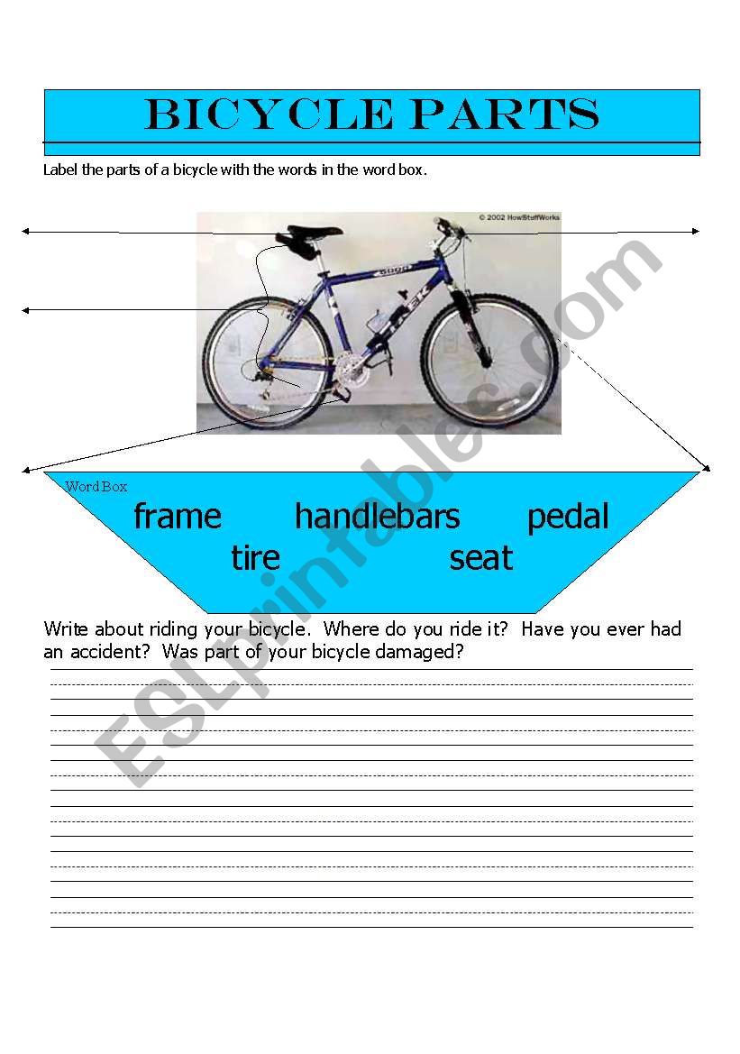 Bicycle Parts worksheet