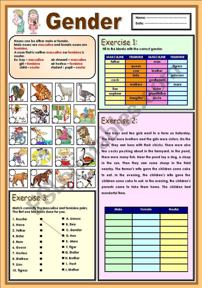 Printable Gender Worksheets