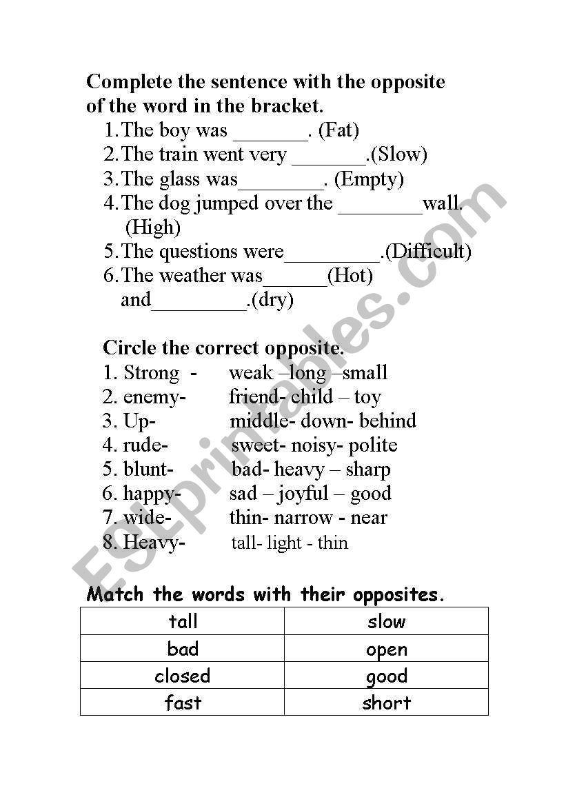 Fun with opposites worksheet