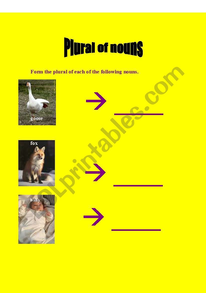 Plural of nouns worksheet