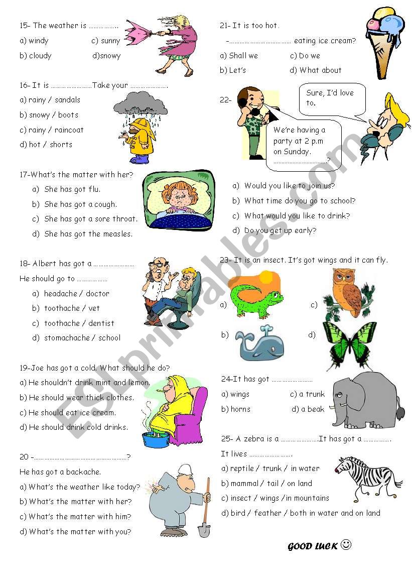 6 revision part 2 worksheet