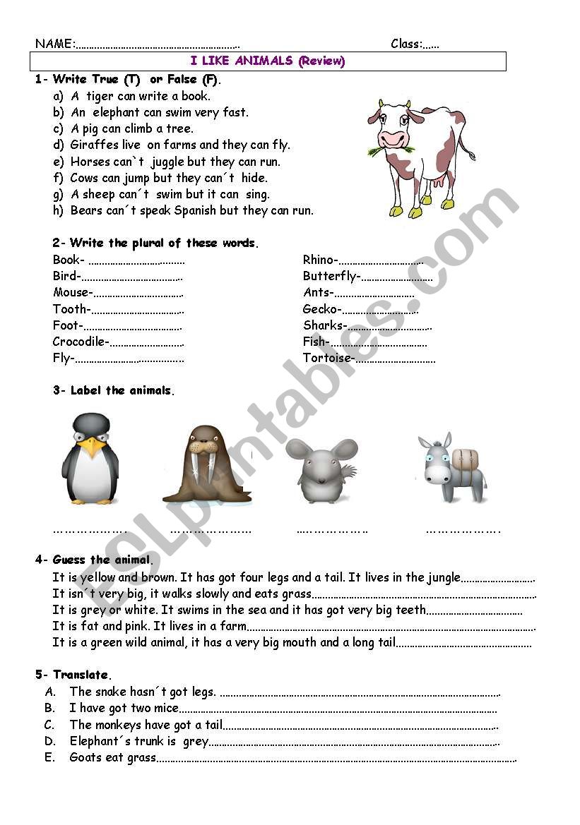 Animals review worksheet