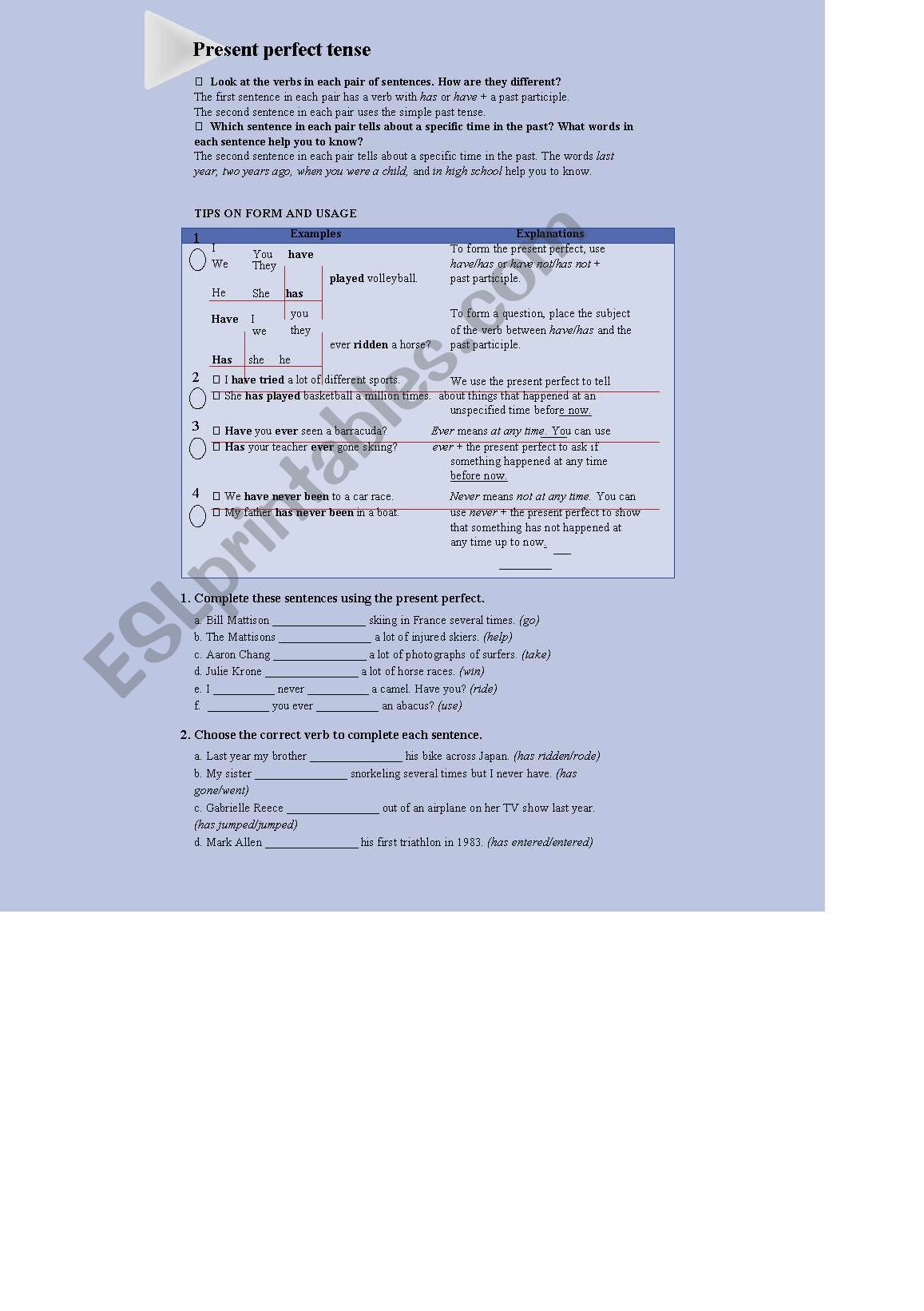 present perfect worksheet