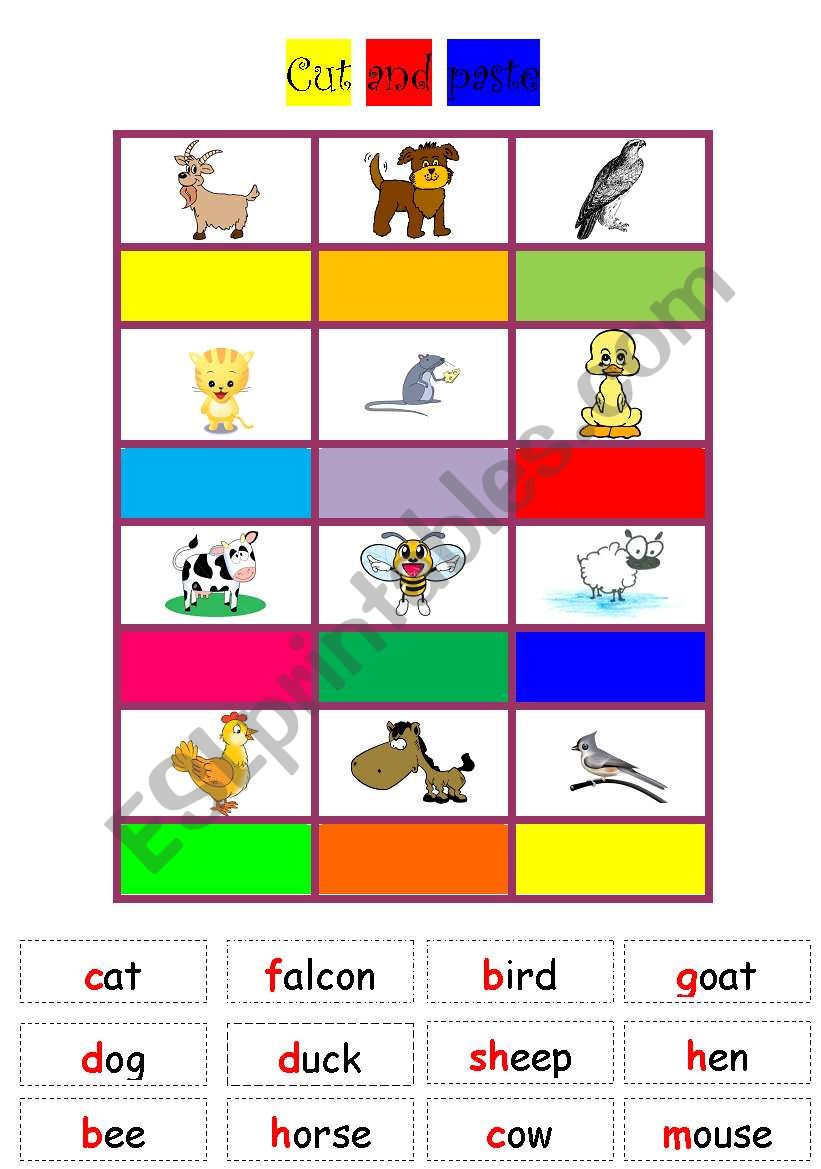 Animals worksheet