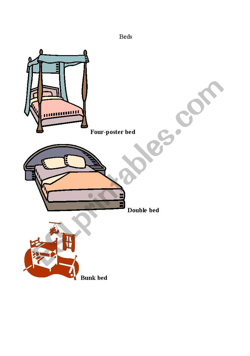 types of beds worksheet